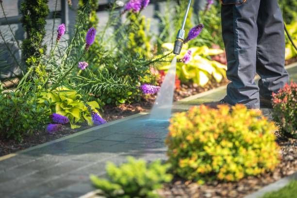 Best Boat and Dock Cleaning  in Mountainhome, PA